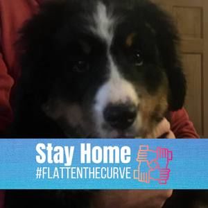 Meet your Posher, Mary ellen